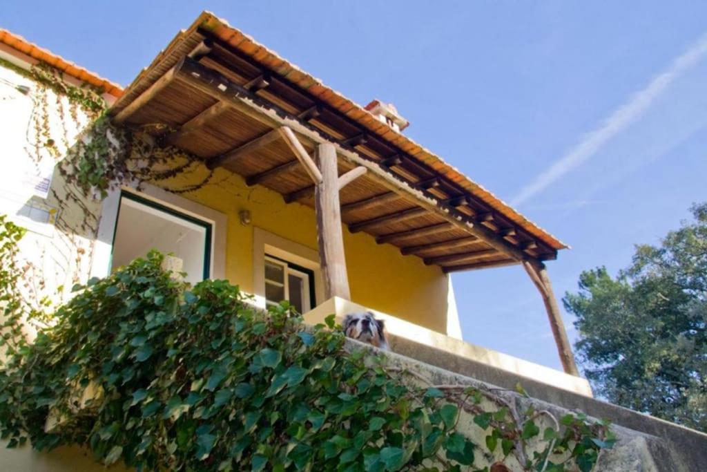 Casa Da Ruiva Vila Serra Exterior foto