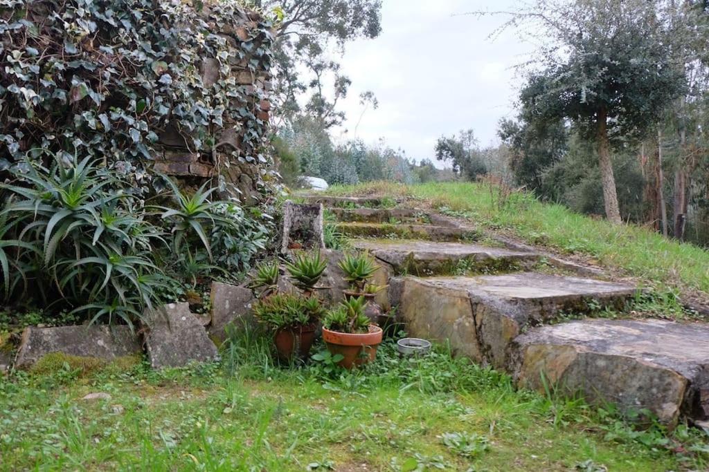 Casa Da Ruiva Vila Serra Exterior foto
